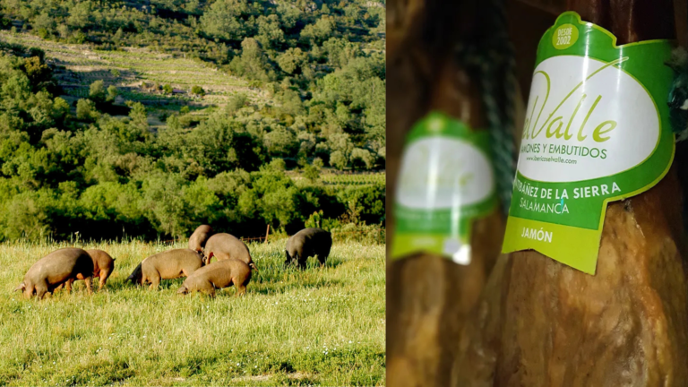 Jamón de Salamanca - Ibéricos El Valle