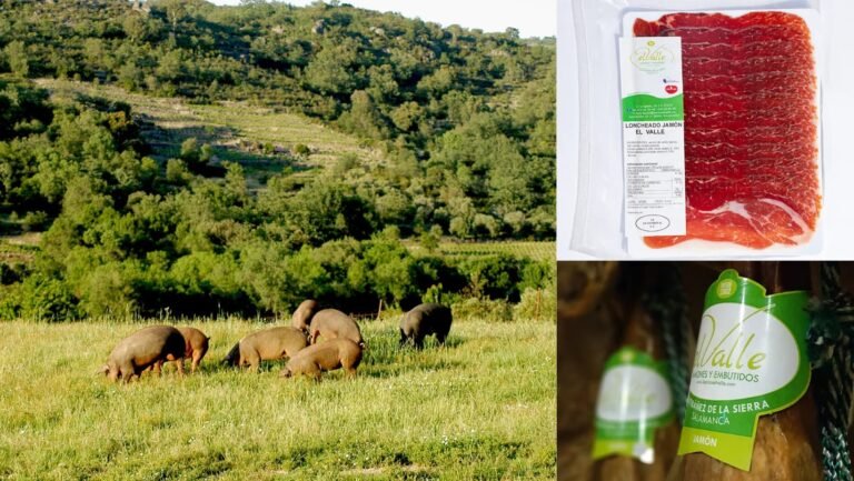 jamón ibérico envasado al vacío